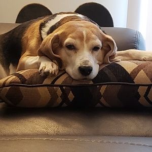 Meet your Posher, Tarisa